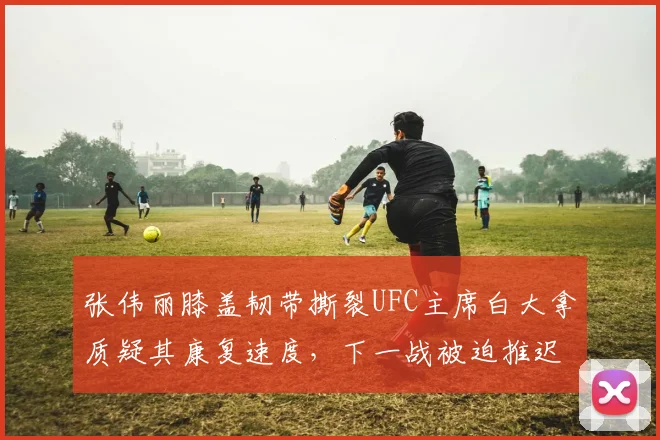 张伟丽膝盖韧带撕裂UFC主席白大拿质疑其康复速度，下一战被迫推迟引争议