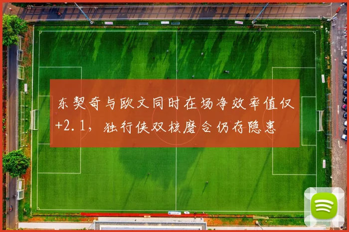 东契奇与欧文同时在场净效率值仅+2.1，独行侠双核磨合仍存隐患